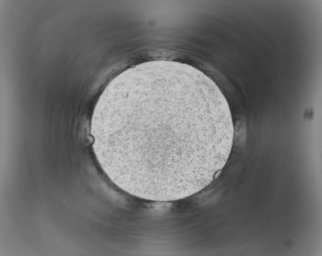 X0000111840474200909031708