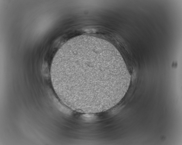 X0000111840477200909031708