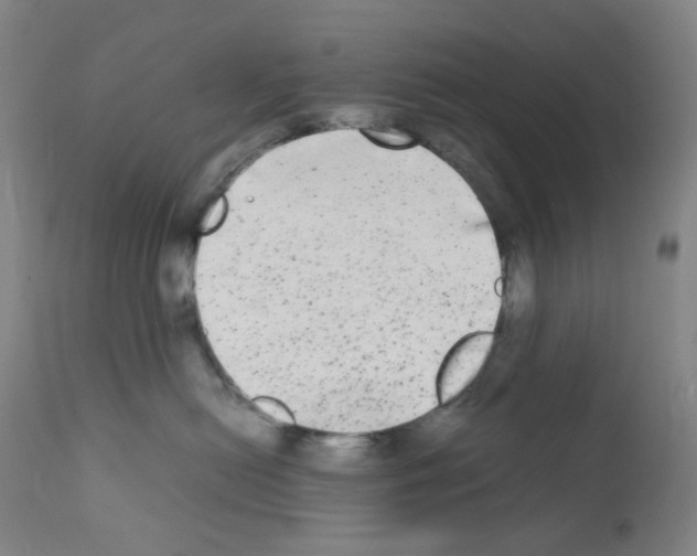 X0000111840478200909031708