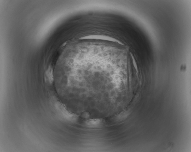 X0000111840479200909031708