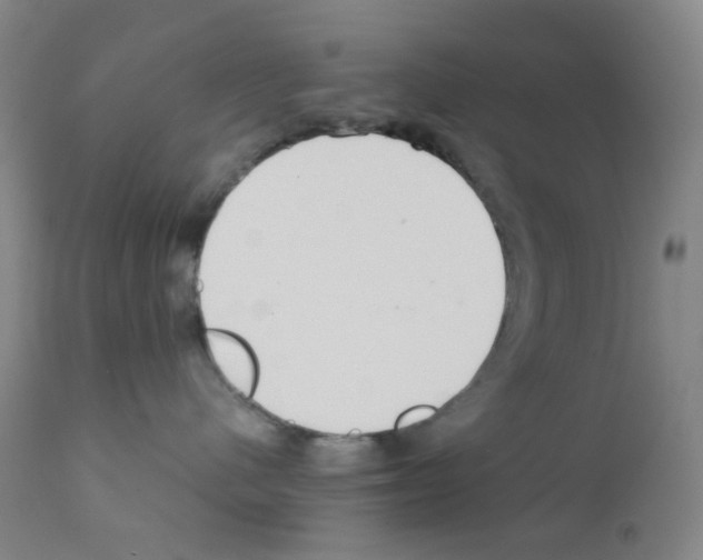 X0000111840480200909031708