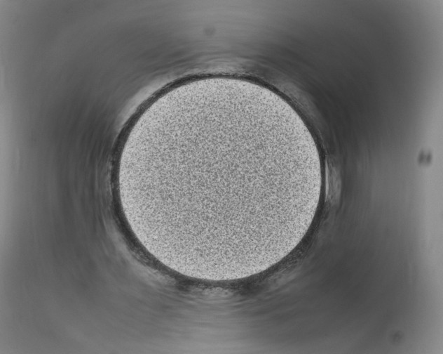 X0000111840483200909031707