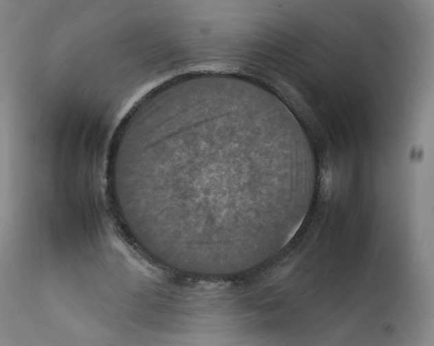 X0000111840484200909031707