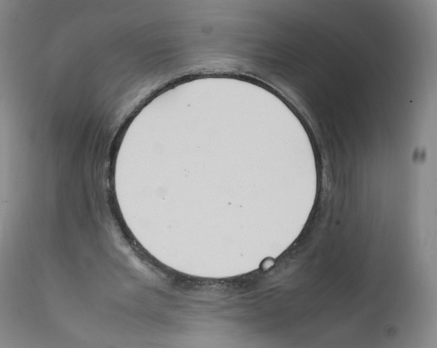 X0000111840485200909031707