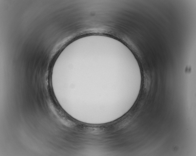 X0000111840486200909031707