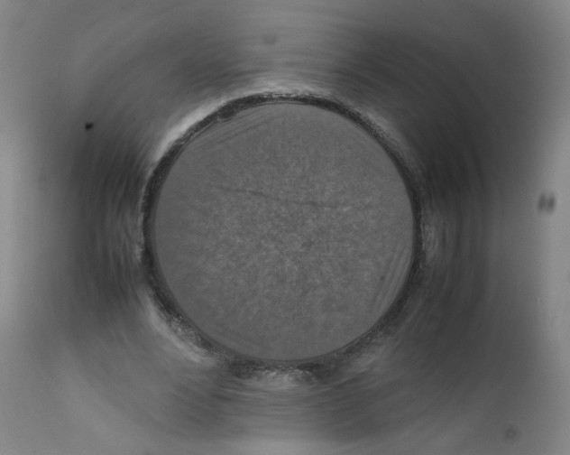 X0000111840488200909031707