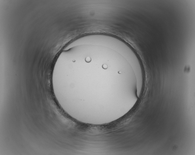 X0000111840489200909031707