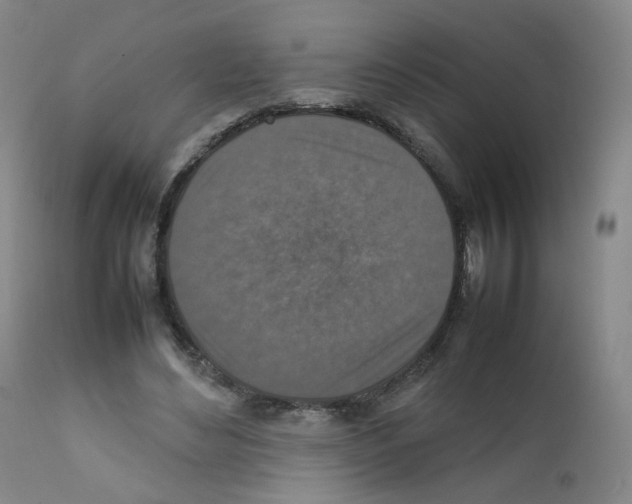 X0000111840492200909031707