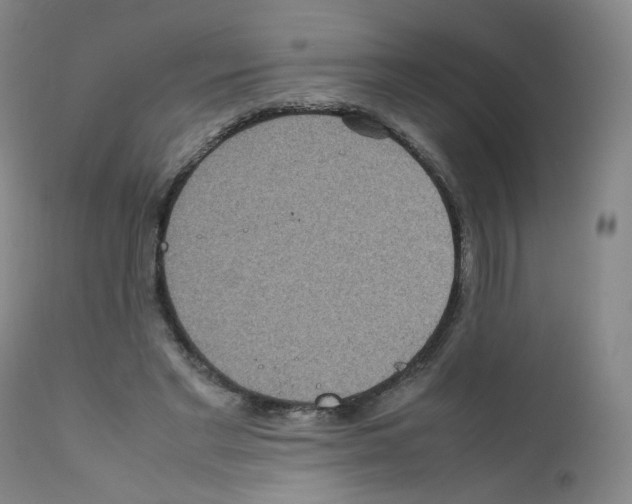 X0000111840493200909031707