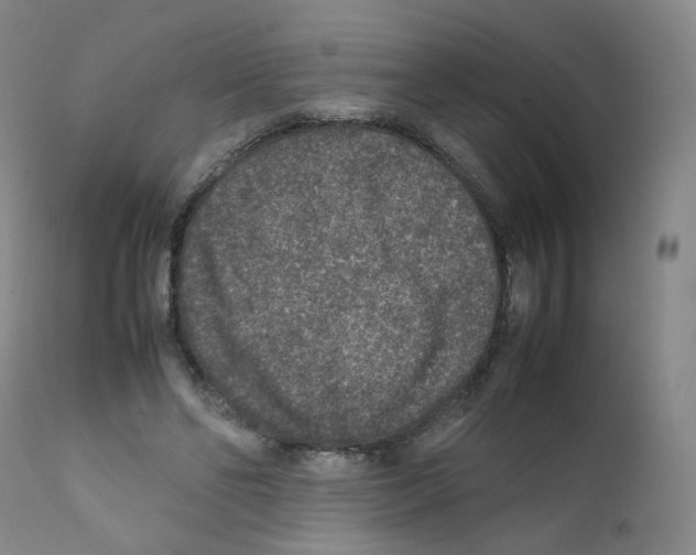 X0000111840494200909031707