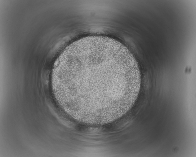 X0000111840495200909031707