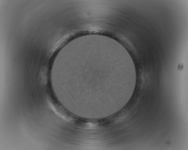 X0000111840496200909031707