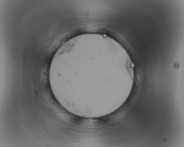 X0000111840497200909031707