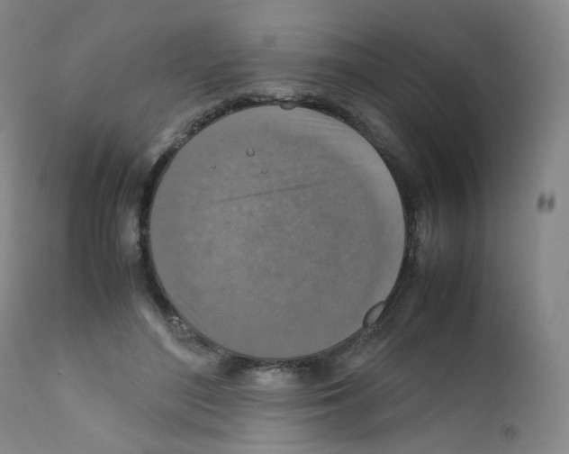 X0000111840500200909031707