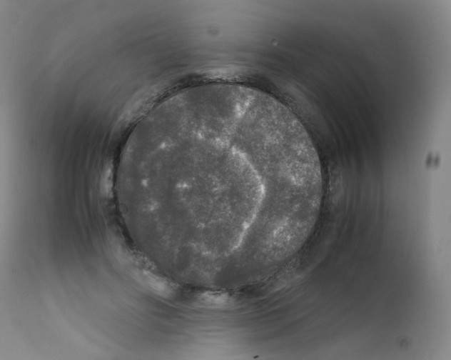 X0000111840502200909031707