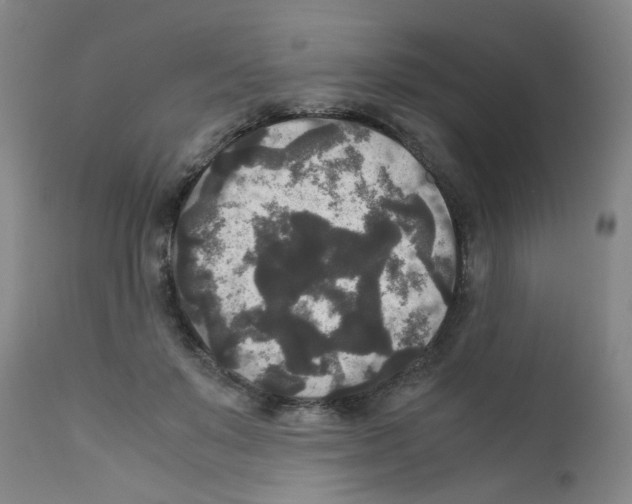 X0000111840503200909031707