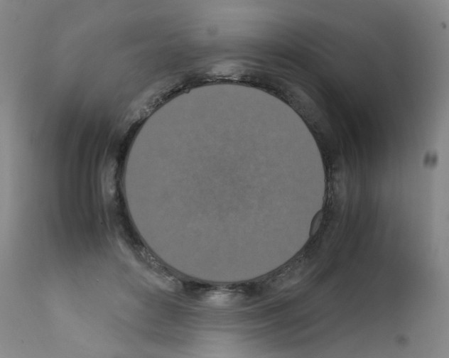 X0000111840504200909031707