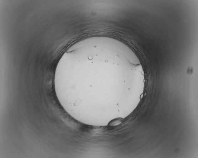 X0000111840505200909031707