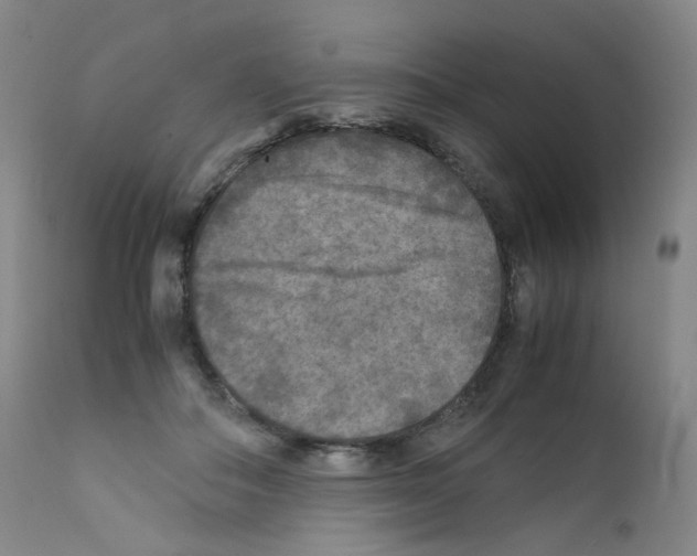 X0000111840506200909031707