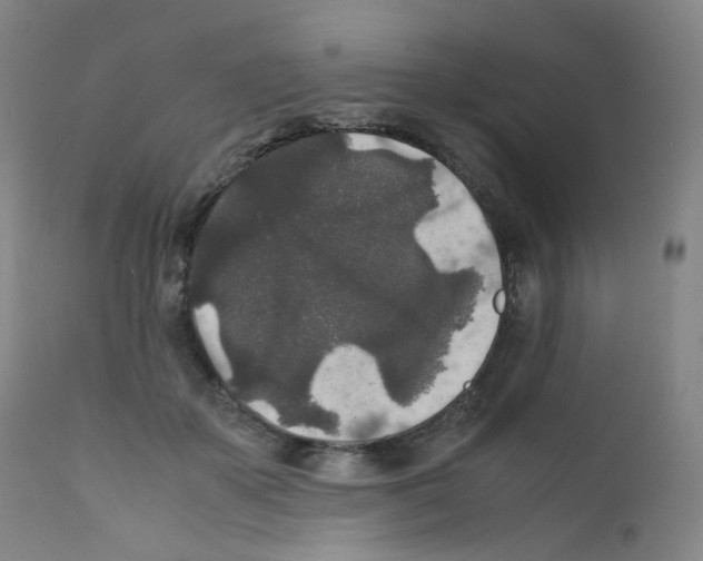 X0000111840507200909031707