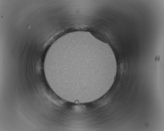 X0000111840508200909031707