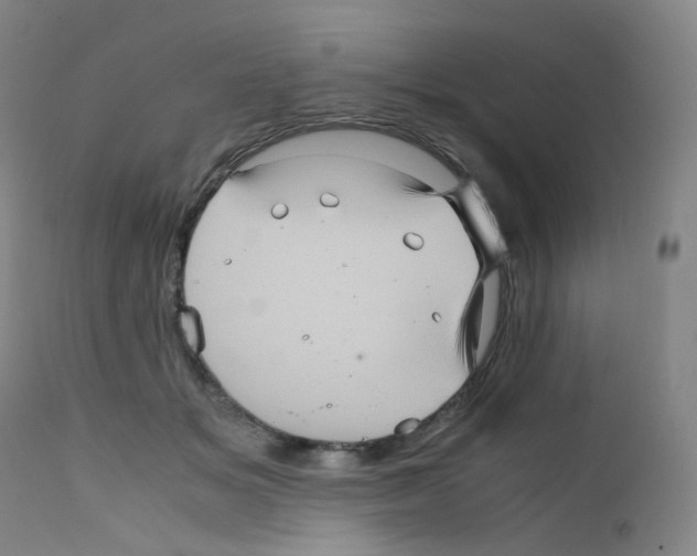 X0000111840509200909031707