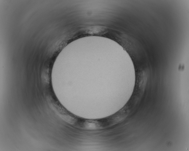 X0000111840510200909031707