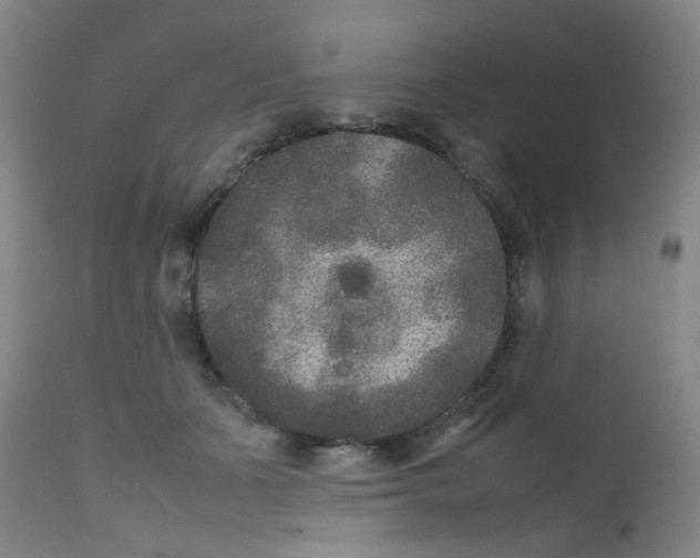 X0000111840511200909031707