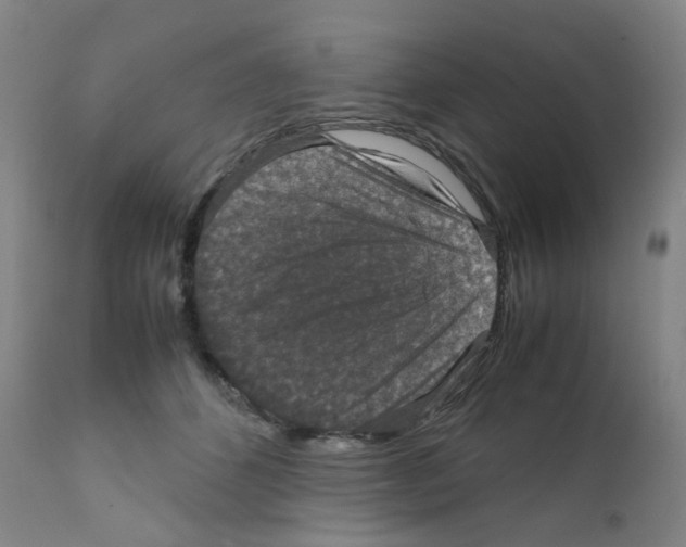 X0000111840512200909031707