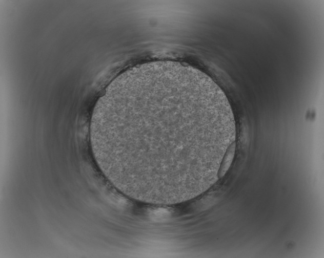 X0000111840513200909031707