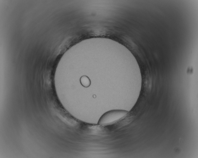 X0000111840516200909031707