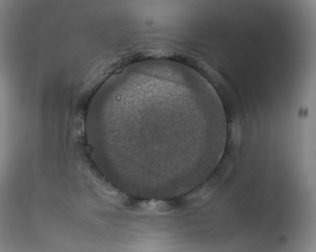 X0000111840517200909031707