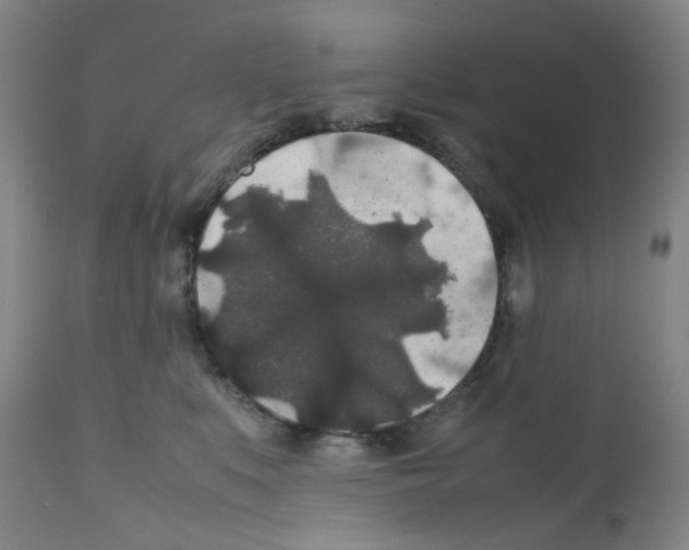 X0000111840519200909031707