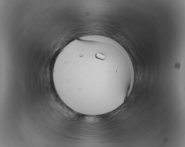 X0000111840520200909031707