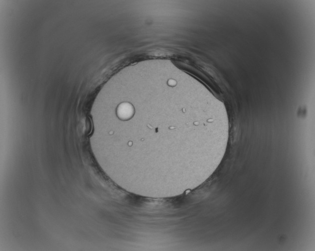 X0000111840521200909031707