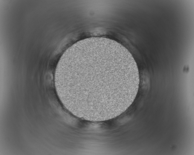 X0000111840523200909031707