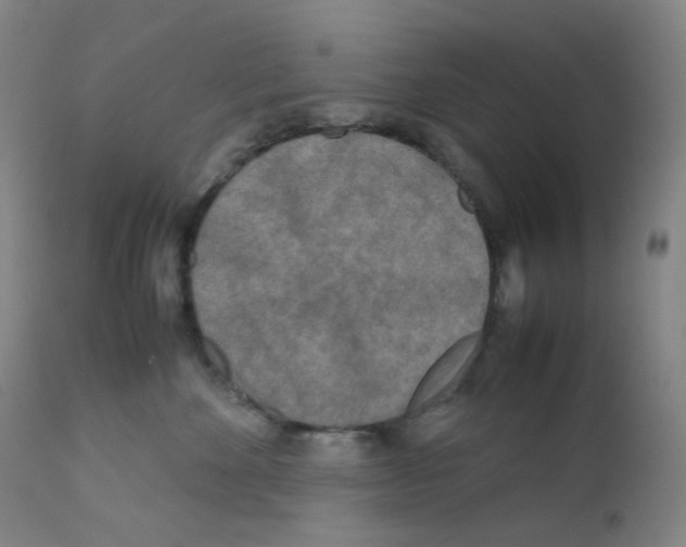 X0000111840524200909031707