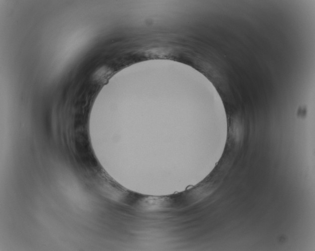 X0000111840526200909031707