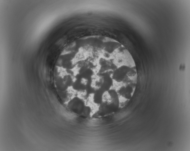 X0000111840527200909031707