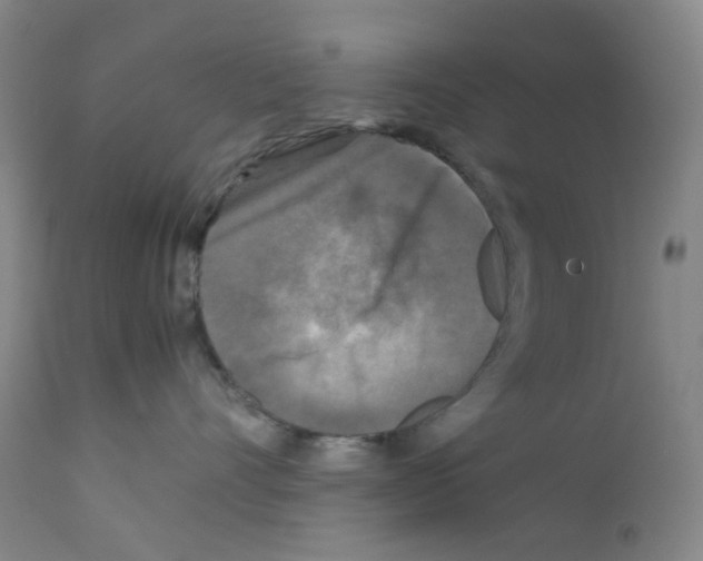 X0000111840528200909031707