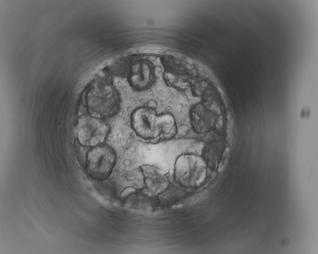 X0000111840529200909031706