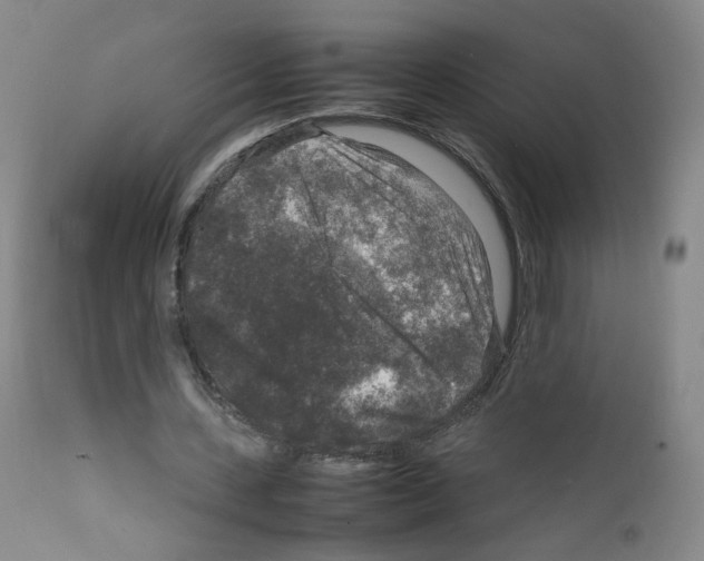 X0000111840531200909031706