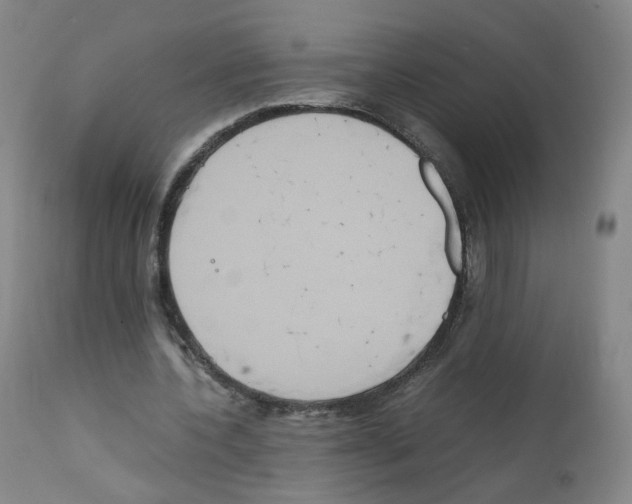 X0000111840532200909031706