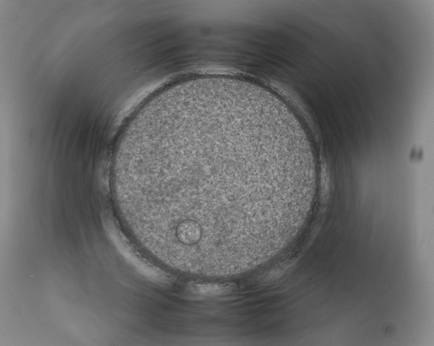 X0000111840533200909031706