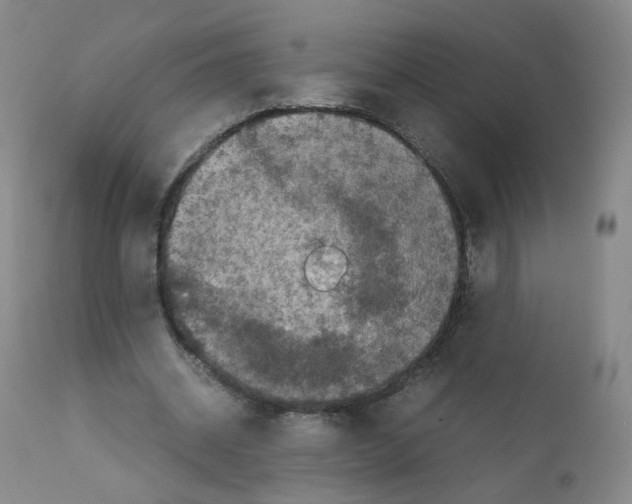 X0000111840534200909031706