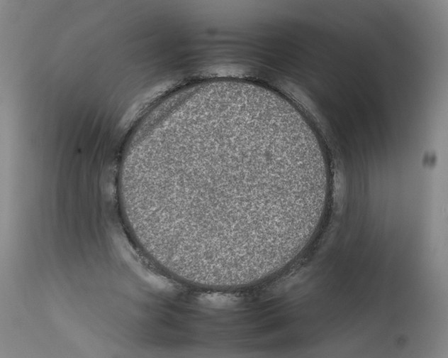 X0000111840537200909031706