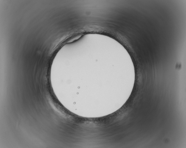 X0000111840538200909031706