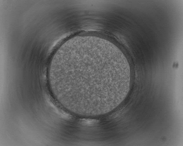 X0000111840539200909031706