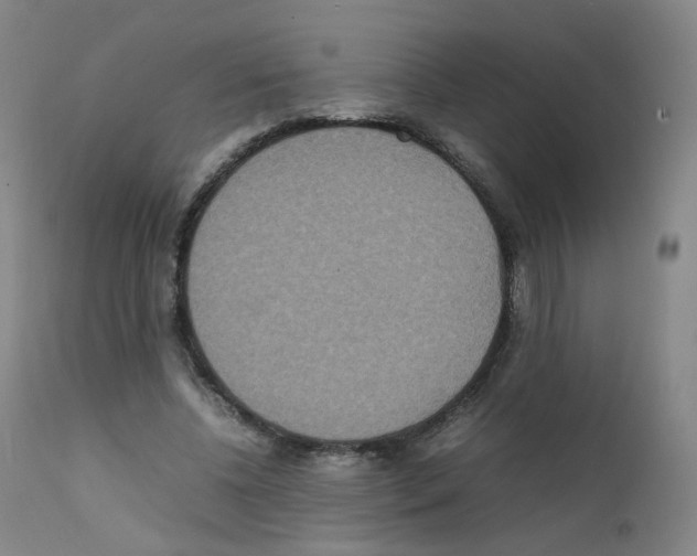 X0000111840540200909031706