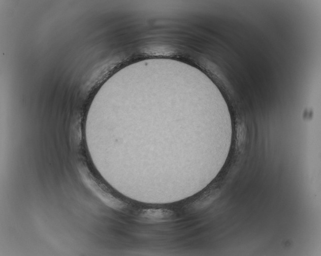 X0000111840541200909031706